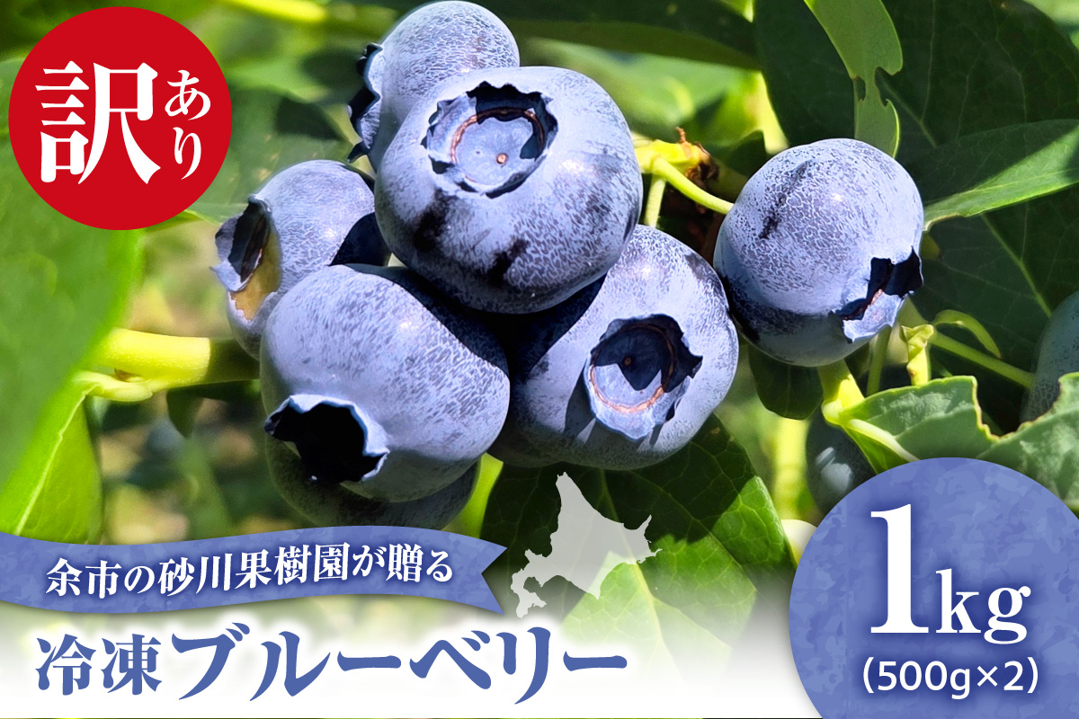 余市の砂川果樹園が贈る 訳あり冷凍ブルーベリー1Kg_Y033-0037