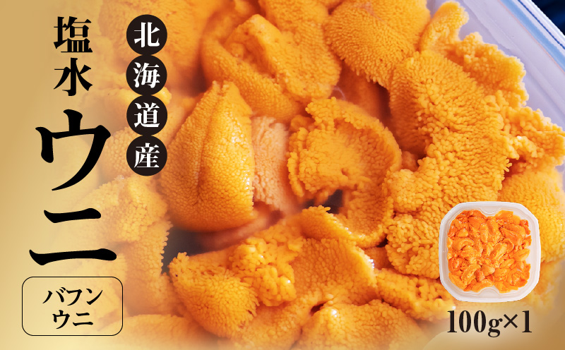【先行受付】北海道産　世壱屋塩水ウニ（バフンウニ）100g_Y038-0140