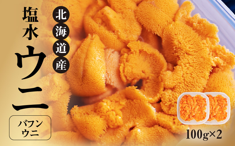 【先行受付】北海道産　世壱屋塩水ウニ（バフンウニ）200g_Y038-0141