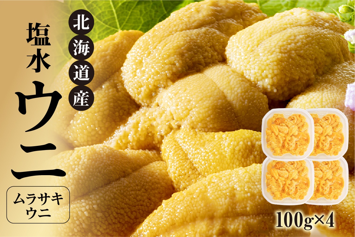 【先行受付】北海道産　世壱屋塩水ウニ（ムラサキウニ）400g_Y038-0145
