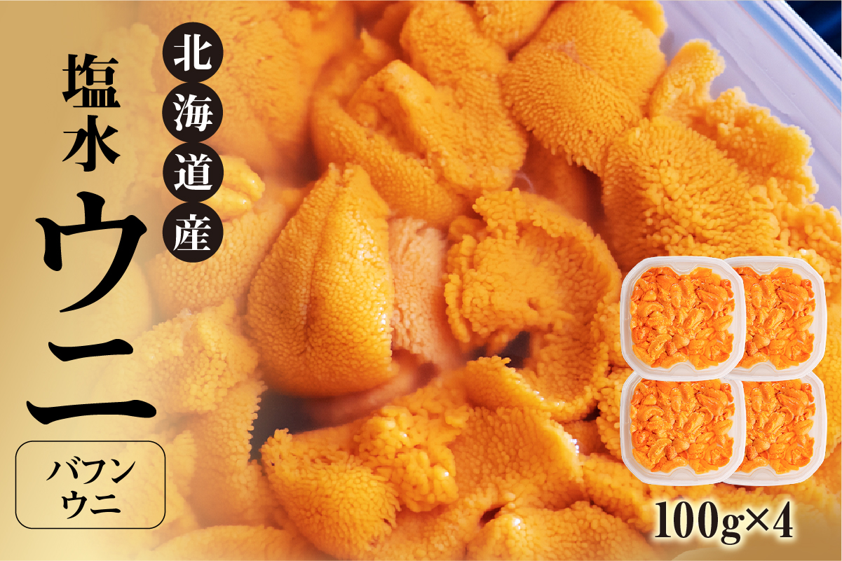 【先行受付】北海道産　世壱屋塩水ウニ（バフンウニ）400g_Y038-0147