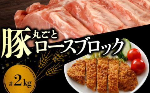 【北島麦豚】ロースブロック丸ごと ２kg_Y049-0042