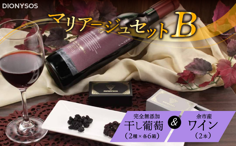 【ギフトボックス】余市産完全無添加干し葡萄と余市産セレクトワインのマリアージュセット ～B～_Y050-0026