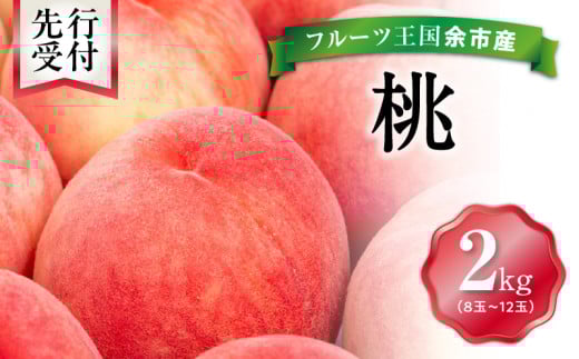 【先行予約：2026年8月中旬以降発送】フルーツ王国余市産「桃」 2kg【ニトリ観光果樹園】_Y074-0145