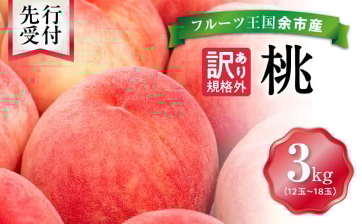 【先行予約：2026年8月中旬以降発送】フルーツ王国余市産「桃」規格外品3kg【ニトリ観光果樹園】_Y074-0148