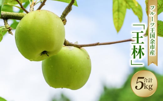 【2025年11月下旬より発送】フルーツ王国余市産「王林」5kg【ニトリ観光果樹園】 _Y074-0155