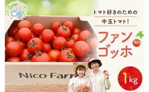 【先行予約：2026年7月下旬頃より発送】NicoFarm ファンゴッホ（中玉トマト）1Kg_Y124-0017