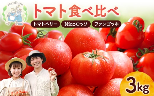 【先行予約2026年7月】樹上完熟！トマト3種食べ比べ 各1kg ミニ・中玉セット トマトベリー・Nicoロッソ・ファンゴッホ_Y124-0024