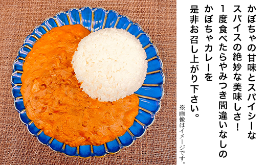 【５箱】マダムの休日（美味しいかぼちゃをふんだんに使ったレトルトカレー）