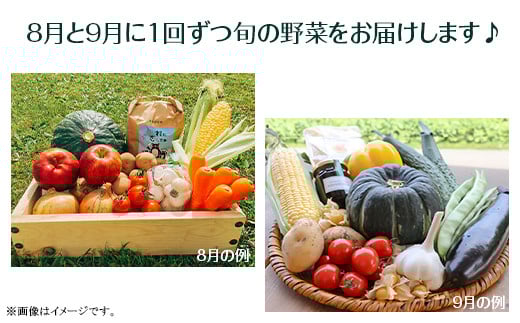 【定期配送】道の駅あかいがわ直売所の野菜詰合せ（夏８月・秋９月：計２回）