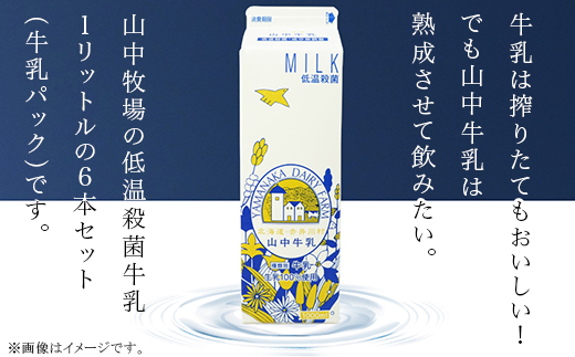 山中牧場　低温殺菌牛乳６本セット（北海道赤井川村）