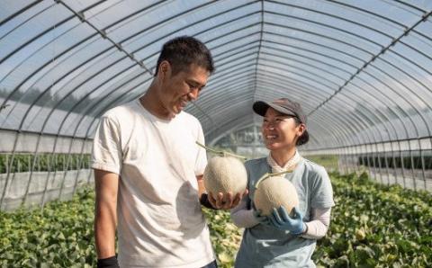 【２玉入】やなぎさわ農園の甘い赤肉メロン