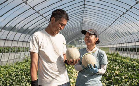 【１玉入】やなぎさわ農園の甘い赤肉メロン