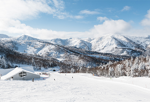 （１日券）キロロリゾート　ゴンドラ・リフト券　 1枚 【ICカード】