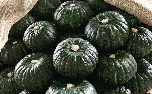 【５箱】マダムの休日（美味しいかぼちゃをふんだんに使ったレトルトカレー）