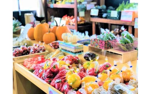 【９月発送】道の駅あかいがわ直売所の野菜詰合せ