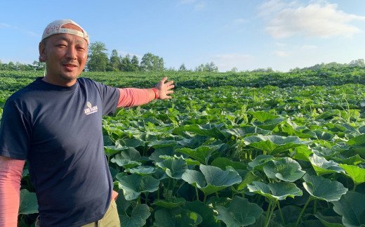 ＡＢＥ　ＦＡＲＭのかぼちゃ（北海道赤井川村のかぼちゃ専門農家）