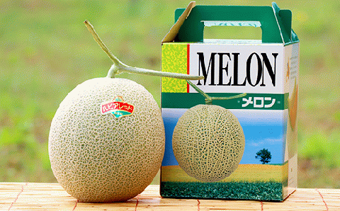 【１玉入】やなぎさわ農園の甘い赤肉メロン
