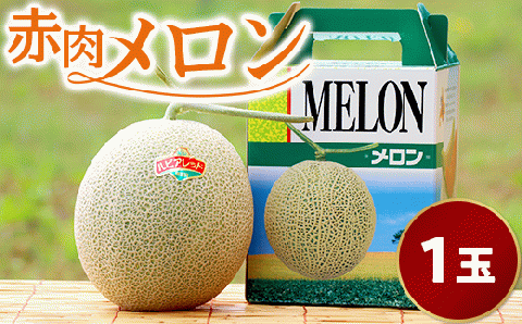 【１玉入】やなぎさわ農園の甘い赤肉メロン