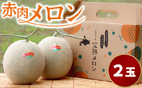 【２玉入】やなぎさわ農園の甘い赤肉メロン