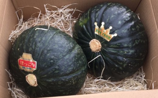 ＡＢＥ　ＦＡＲＭのかぼちゃ（北海道赤井川村のかぼちゃ専門農家）