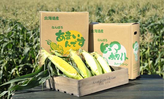 北海道産 とうもろこし 令和8年発送 ピュアホワイト3本＆あまいんです3本 食べ比べ 朝採れ 一番果 産地直送 数量限定 期間限定