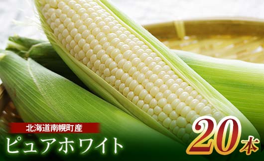 北海道産 とうもろこし 令和8年発送 ピュアホワイト20本 朝採れ 一番果 産地直送 数量限定 期間限定