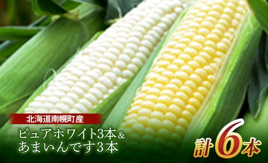 北海道産 とうもろこし 令和8年発送 ピュアホワイト3本＆あまいんです3本 食べ比べ 朝採れ 一番果 産地直送 数量限定 期間限定