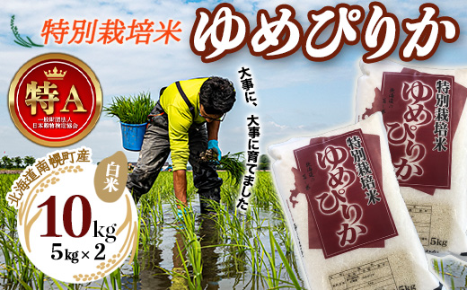 特別栽培米 ゆめぴりか 白米 5kg×2袋 令和7年産 北海道産 今摺り米 道産米 南幌町 NP1-408