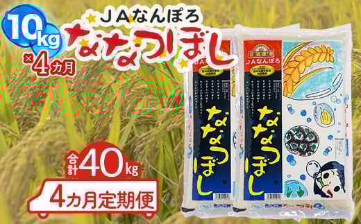 北海道産 ななつぼし 40kg【10kg×4カ月定期便】令和7年産 YES!clean 北海道安心ラベル 北海道南幌町 道産米 NP1-480 20kg