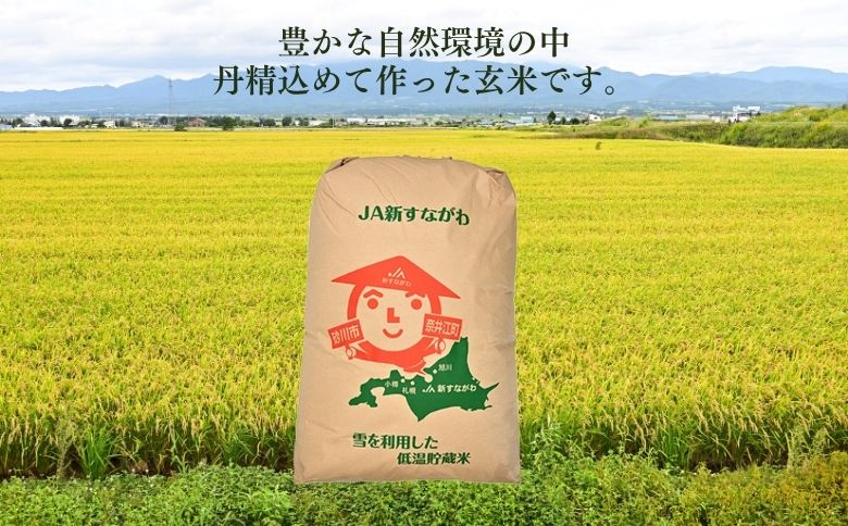 北海道奈井江町　ななつぼし　玄米　30kg
