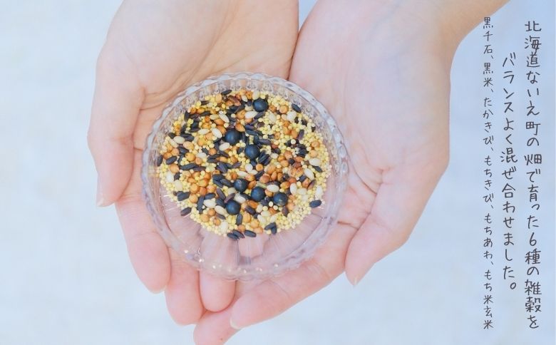 【定期便3回】ざっこくごはんのもと3袋セット