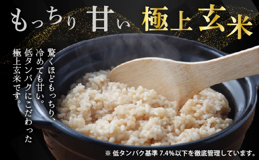 【2026年12月発送】令和 8 年産 新米 【 配送時期が選べる 】 奈井江町 ゆめぴりか 玄米 30kg 特 A ランク評価 低タンパク追求 JA 新すながわ 大容量 クリーン農業 北海道米 ブランド米 産地限定米 お米 米 こめ ごはん ご飯 ないえ 【2026年12月発送】