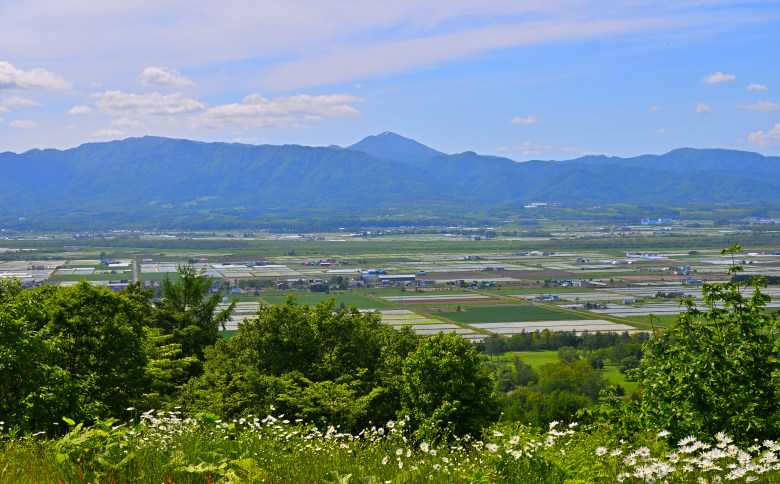 北海道奈井江町　ななつぼし　5kg
