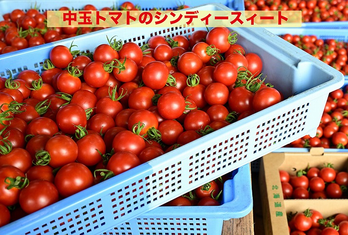 江口農園　完熟つぶしトマト