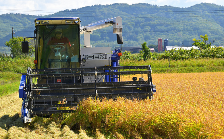 北海道奈井江町　特別栽培米　ゆめぴりか　10kg