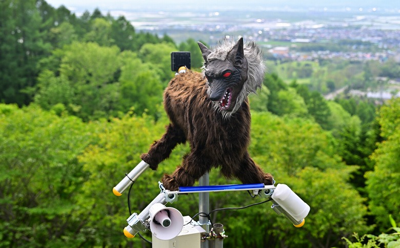 株式会社　太田精器　モンスターウルフ  3カ月レンタル権