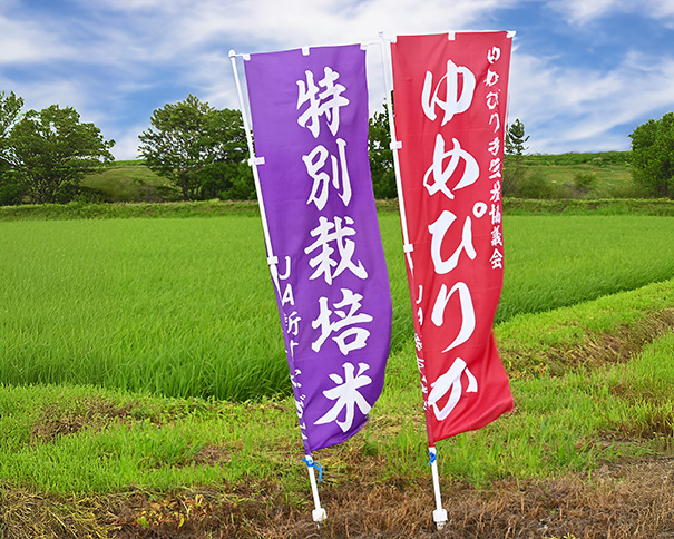 【定期便6回】北海道奈井江町　特別栽培米　ゆめぴりか　10kg