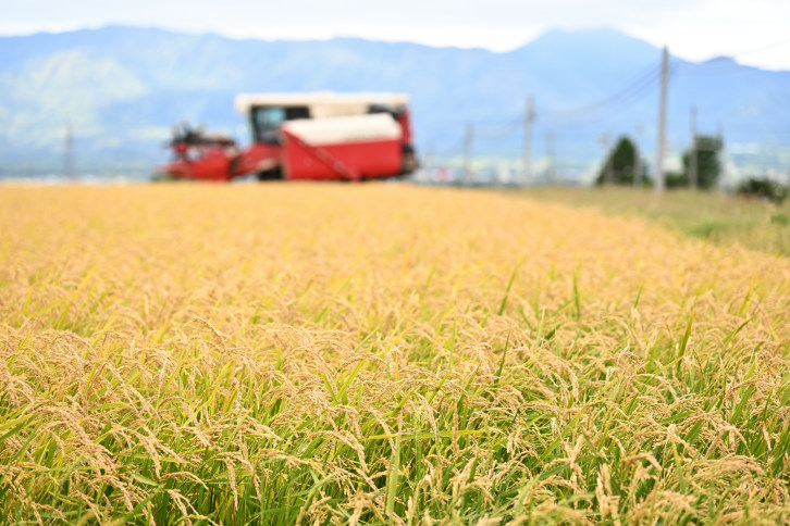 【定期便6回】北海道奈井江町　特別栽培米　ななつぼし　5kg