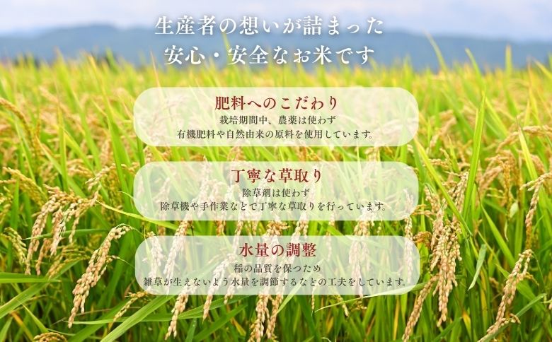 北海道奈井江産ゆめぴりか『奏穂（かなでほ）』　2kg　栽培期間中農薬不使用米（化学肥料5割減）