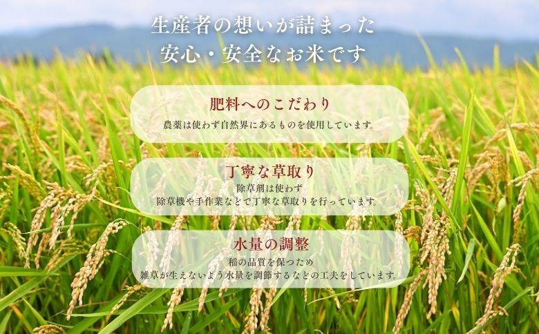 北海道奈井江産ゆめぴりか『奏穂（かなでほ）』　玄米＆白米　おためしセット　計600g　栽培期間中農薬不使用米（化学肥料5割減）