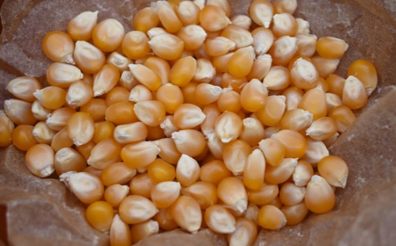 プレミアムポップコーンセットA