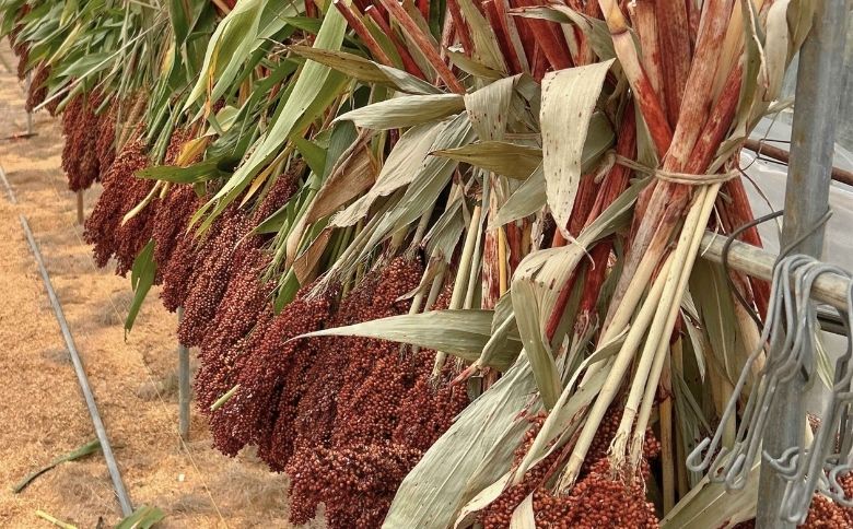 たかきび3袋セット