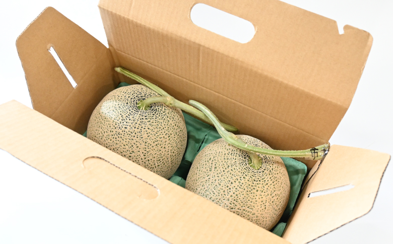 北海キングメロン 2玉