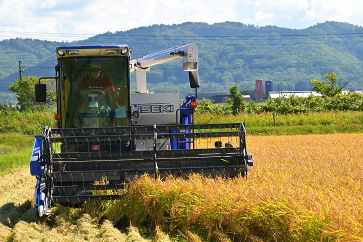 【定期便4回】北海道奈井江町　特別栽培米　ゆめぴりか　5kg