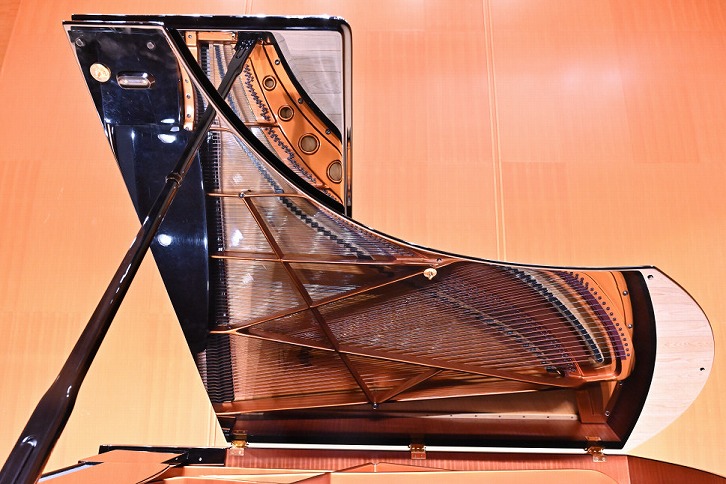 北海道奈井江町　コンチェルトホール　ベーゼンドルファー　ピアノ【12時間】試弾チケット