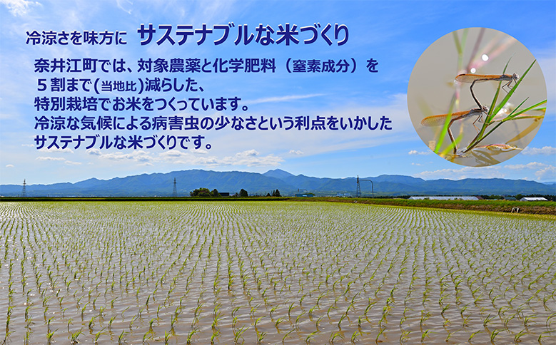 【定期便6回】北海道奈井江町　特別栽培米　ななつぼし　15kg