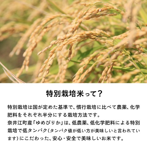 【定期便6回】北海道奈井江町　特別栽培米　ゆめぴりか　5kg