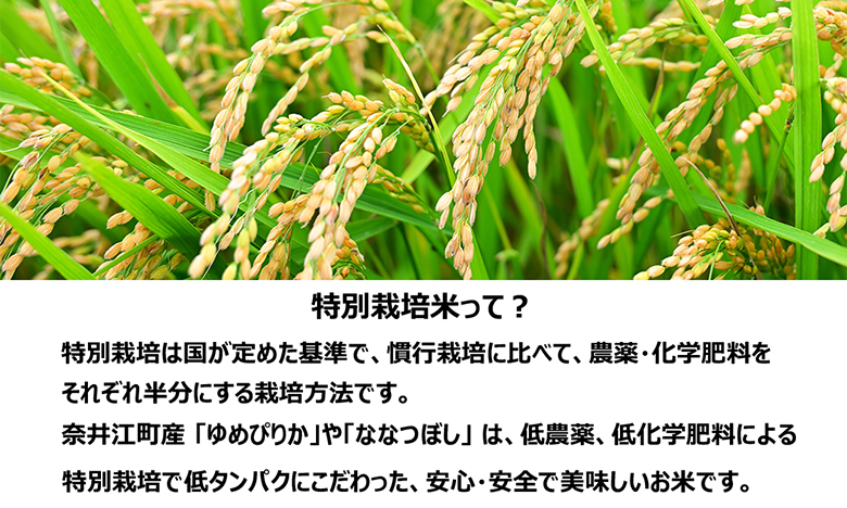 【定期便4回】北海道奈井江町　特別栽培米　ななつぼし　15kg
