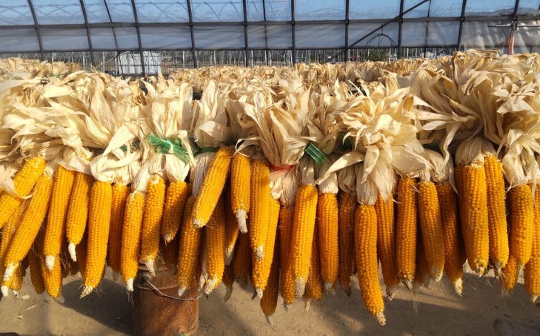 プレミアムポップコーンセットB